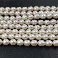 ELEISPL AAA  2 Strands  Short Rice Freshwater Pearls White 7*8-9mm #1019