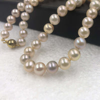 {ELEISPL] NEW 7.5-8mm Round Freshwater Pearl Natural Color Necklace #22010084