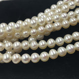 ELEISPL AAA 2 Strand 5.5-6mm Round Freshwater Pearl Loose String 40cm  #22010297