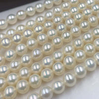 ELEISPL AAA 2 Strand 5.5-6mm Round Freshwater Pearl Loose String 40cm  #22010297