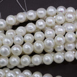 Wholesale 5 strands 12mm white freshwater pearl loose beads strings