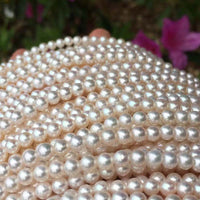 AAA Lots 5 strands 4-4.5mm round Akoya freshwater pearl strings