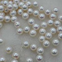 AAA wholesale 6.5mm round FW akoya pearl half drilled