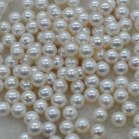 AAA wholesale 6.5mm round FW akoya pearl half drilled